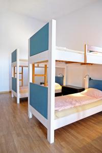 Giường tầng trong phòng chung tại FreeSurfCamp & Hostel