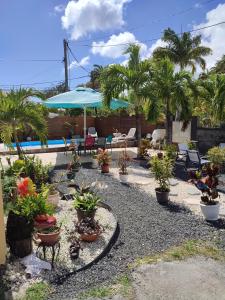 a patio with potted plants and a pool at An ti kaz la in Sainte-Anne