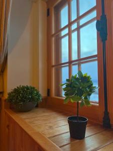 dois vasos de plantas sentados no parapeito de uma janela de madeira em Auberge au Poste de Traite em Sainte-Famille
