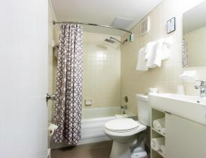 a bathroom with a toilet and a shower and a sink at Hotel Royal Oak in Royal Oak