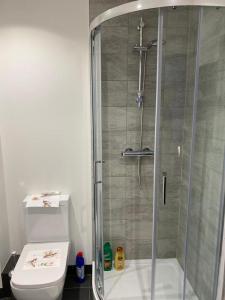 a bathroom with a shower and a toilet at Central Newly built 2 Bed DUPLEX Penthouse with FREE On-site Gated Parking, Lift access, Self Check-in, SUPER Fast WIFI, TWO Cathedral view Terraces & Sleeps 6 in Peterborough