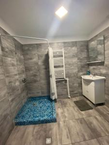 a bathroom with a shower and a sink at Casa ROOL in Turda +33 photos