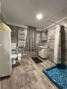 a bathroom with a toilet and a sink and a shower at Casa ROOL in Turda