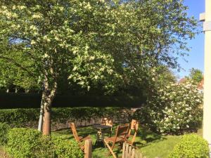 ein Baum mit zwei Stühlen und einem Tisch darunter in der Unterkunft Ferienwohnung Sandrose in Wangerooge + 1 Foto