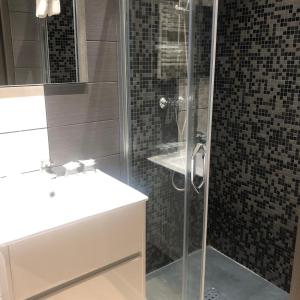 a bathroom with a glass shower and a sink at Hotel le Dauphin in Ajaccio