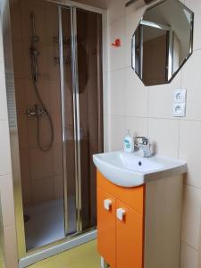 een badkamer met een wastafel en een douche bij Przytulne mieszkanie w sercu Kaszub in Wąglikowice