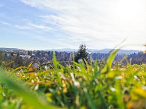 Príroda v okolí apartmánu