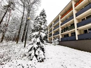 Apartament z Widokiem na Park v zime