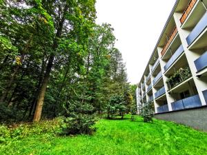 Vonkajšia záhrada v ubytovaní Apartament z Widokiem na Park