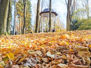Príroda v okolí apartmánu