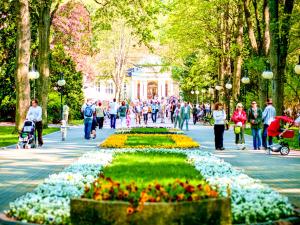 Hostia v ubytovaní Apartament z Widokiem na Park