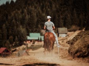 Andrijevica的住宿－Mountain House Komovi，骑着马沿着土路的人