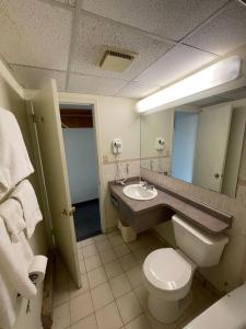 a bathroom with a sink and a toilet and a mirror at Heritage Inn & Suites in Niagara Falls