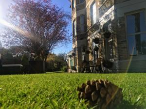 a pine cone in the grass in front of a house at Applewood Hotel in Bournemouth