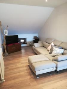 uma sala de estar com um sofá e uma televisão em appartamento Florianca em Tarvisio