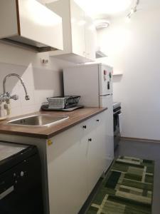 cocina con fregadero y nevera blanca en appartamento Florianca, en Tarvisio