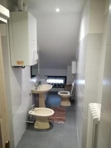 baño con 2 aseos y lavamanos en appartamento Florianca, en Tarvisio