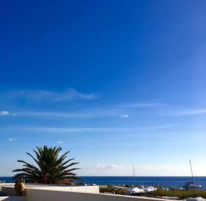widok na plażę z palmą i ocean w obiekcie Via Marina w mieście Stromboli