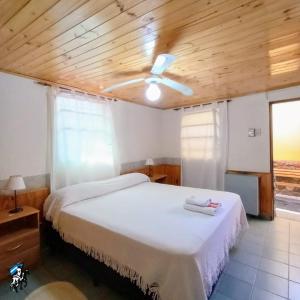 1 dormitorio con 1 cama y ventilador de techo en Don Romulo en Tupungato