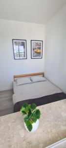 Posteľ alebo postele v izbe v ubytovaní 61 - Apartamenty Siedlce - Nowy apartament w centrum przy ul 3 Maja 51a