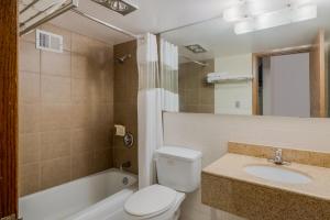 Koupelna v ubytování OYO Hotel Morton East Peoria I-74 + 37 fotografií