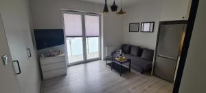Televízia a/alebo spoločenská miestnosť v ubytovaní 61 - Apartamenty Siedlce - Nowy apartament w centrum przy ul 3 Maja 51a