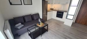 Kuchyňa alebo kuchynka v ubytovaní 61 - Apartamenty Siedlce - Nowy apartament w centrum przy ul 3 Maja 51a