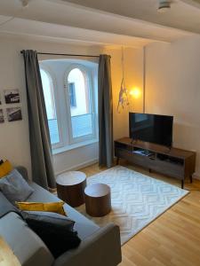 uma sala de estar com um sofá e uma televisão de ecrã plano em City Apartment em Mainz