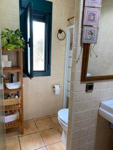 a bathroom with a toilet and a window at FINCA VALDELAJARA a 20 minutos de Puy du Fou in Toledo