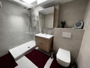 La salle de bains est pourvue d'un lavabo, de toilettes et d'une douche. dans l'établissement SPA-Apartment mit Sauna in Ulm-Böfingen, à Ulm