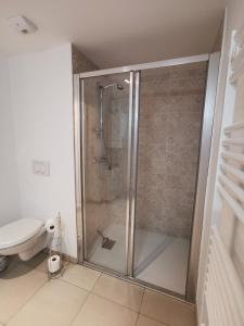 a shower stall in a bathroom with a toilet at Les Ganivelles in Donville-les-Bains +19 photos
