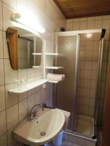 ein Bad mit einem Waschbecken, einer Dusche und einem Spiegel in der Unterkunft Haus Carina in Flachau