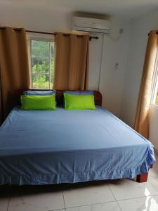 En eller flere senge i et værelse på Creole Cottage Apartment
