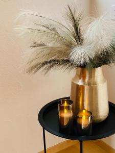 Foto sihtkohas Vals asuva majutusasutuse Maisonette Franz galeriist