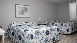 Легло или легла в стая в Motel de la mer