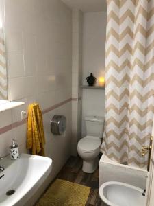 a bathroom with a sink and a toilet and a shower curtain at La casa del Sur in Granada