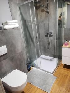 uma casa de banho com um chuveiro e um WC. em Rybacka em Augustów