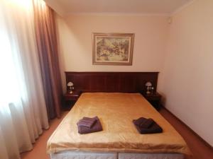 1 dormitorio con 1 cama con 2 almohadas en Апартамент за гости Мая Downtawn Банско, en Bansko