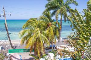 een uitzicht op een strand met palmbomen en de oceaan bij The Buccaneer in Montego Bay