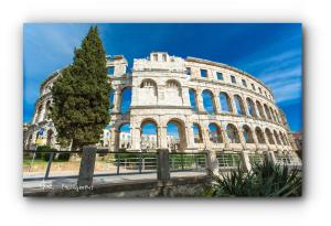 a tree stands in front of the coliseum at Bonvenon2Volme Apt&Room in Pula