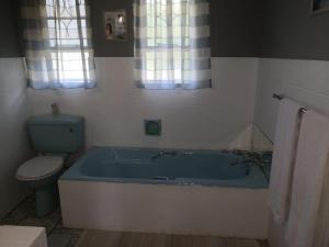 a bathroom with a blue tub and a toilet at 15 On Reitz Bela bela in Bela-Bela