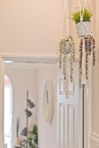 una stanza con una porta con piante in vaso di Malleus House a Barrow in Furness