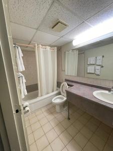 a bathroom with a toilet and a sink at Heritage Inn & Suites in Niagara Falls