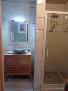 een badkamer met een wastafel en een douche bij Chez Simone in Le Tréport