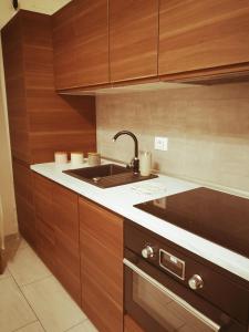 a kitchen with a sink and wooden cabinets at Piccola Pisa (zona Ospedale Cisanello) in Pisa