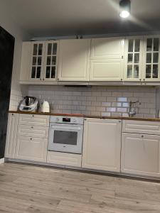 Kuchnia lub aneks kuchenny w obiekcie Airport Apartment Regata Kiekrz lotnisko