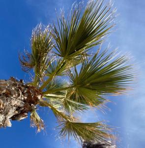 Fotografie z fotogalerie ubytování La casa de Emila v destinaci Torrevieja