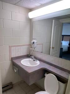 a bathroom with a sink and a toilet and a mirror at Heritage Inn & Suites in Niagara Falls