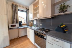 A kitchen or kitchenette at Alpin Apartments