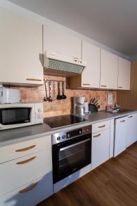 A kitchen or kitchenette at Alpin Apartments